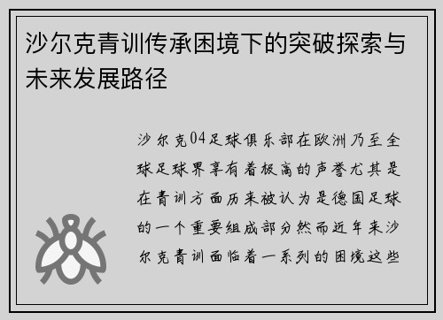 沙尔克青训传承困境下的突破探索与未来发展路径